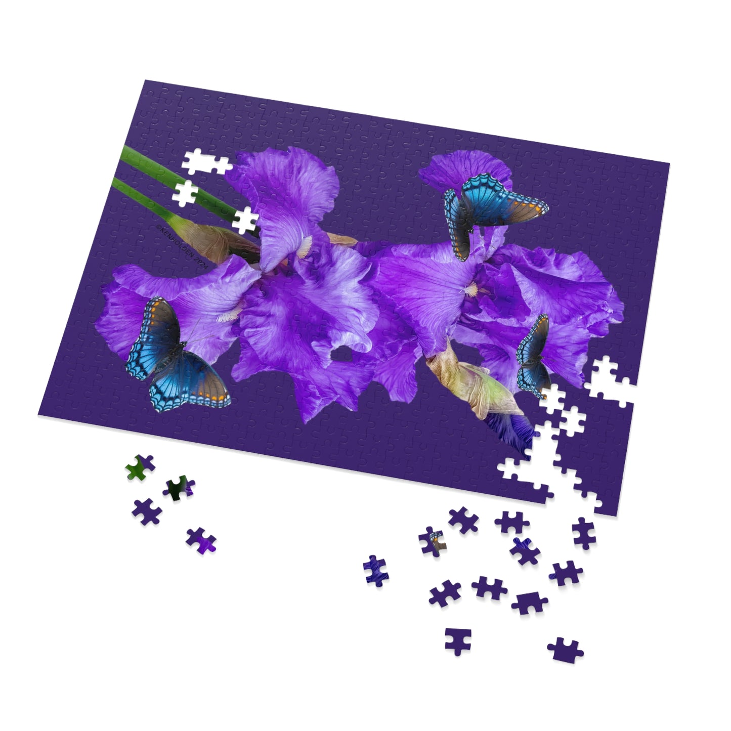 Violet Bearded Iris Jigsaw Puzzle, 500 Piece